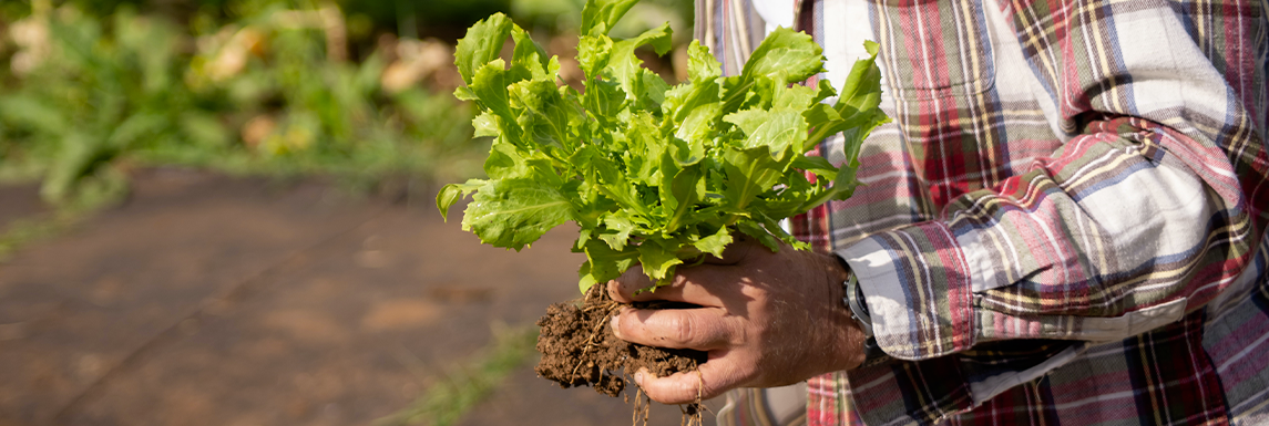 troc'plants