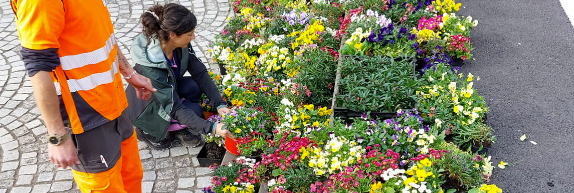 marché aux fleurs